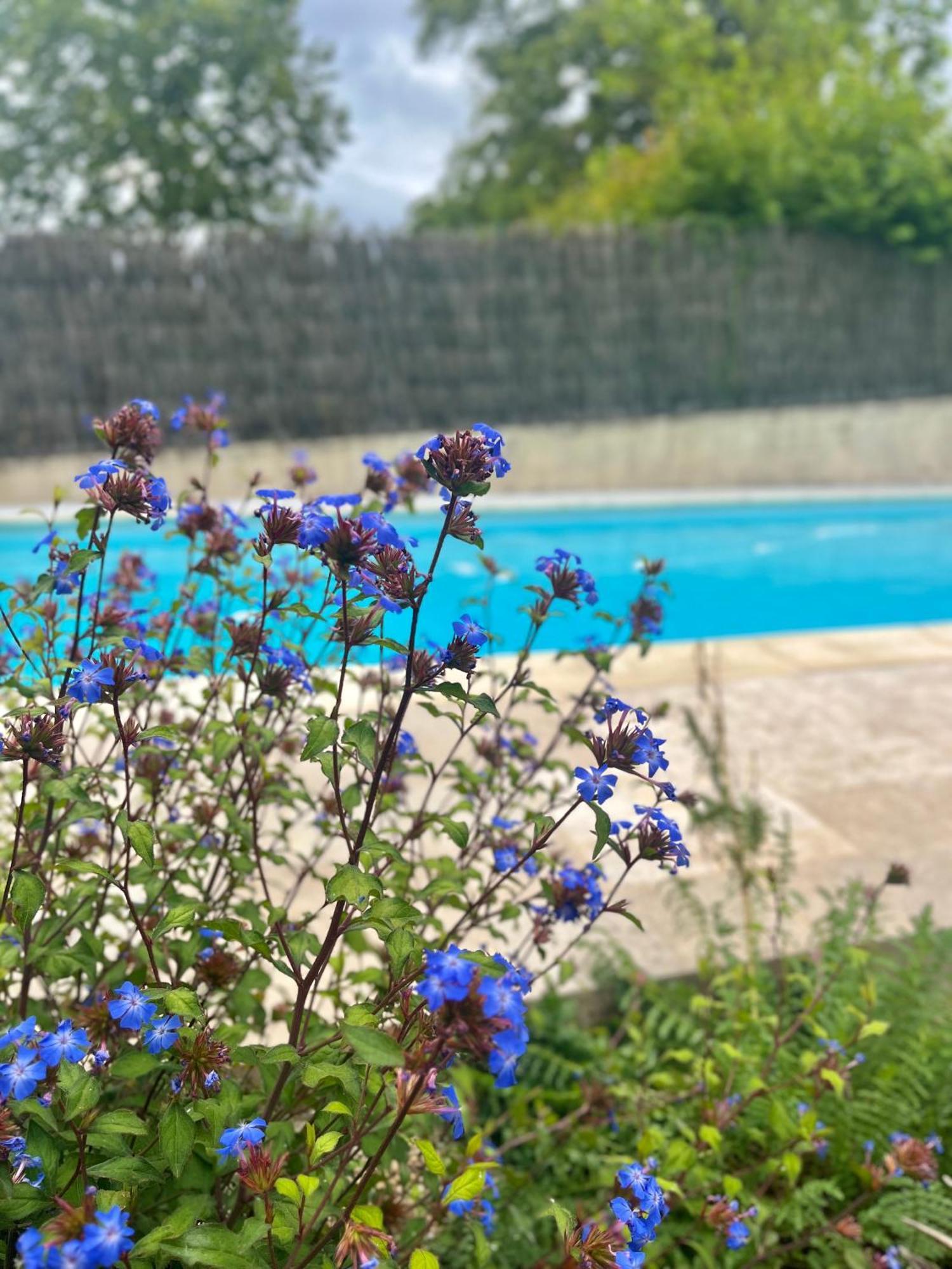 Chambres Cosy Ben & Nad Proches Du Puy Dufou Saint-Aubin-des-Ormeaux ภายนอก รูปภาพ
